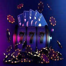 255bet